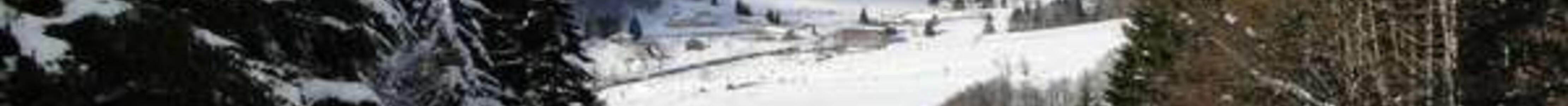 Ski alpin et nordique Ski alpin et nordique