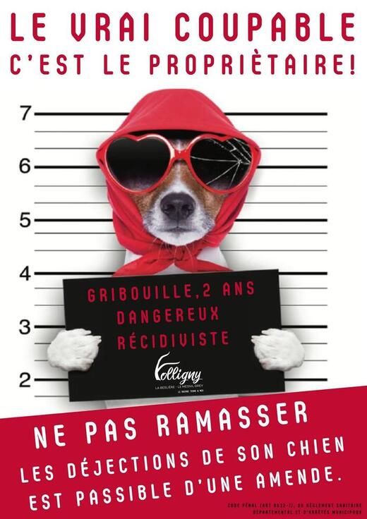 Nos amis les chiens Nos amis les chiens